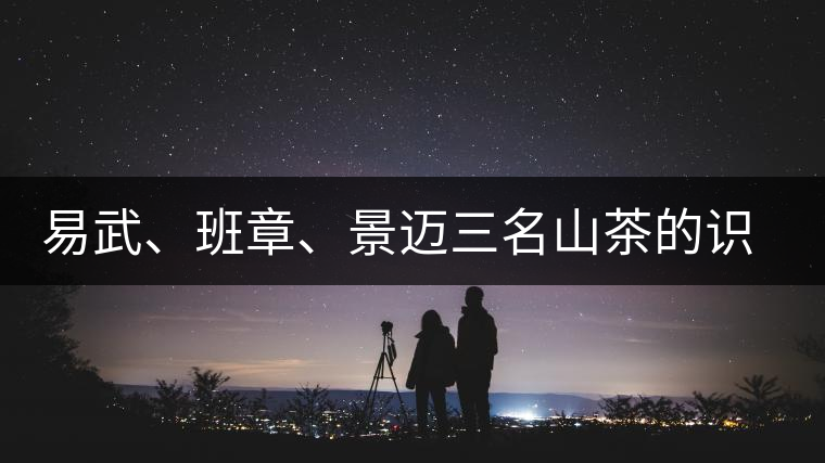 易武、班章、景邁三名山茶的識別