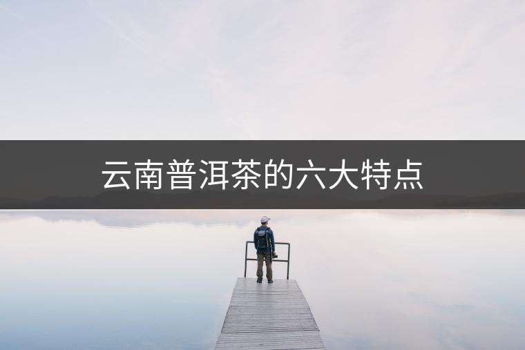 云南普洱茶的六大特點