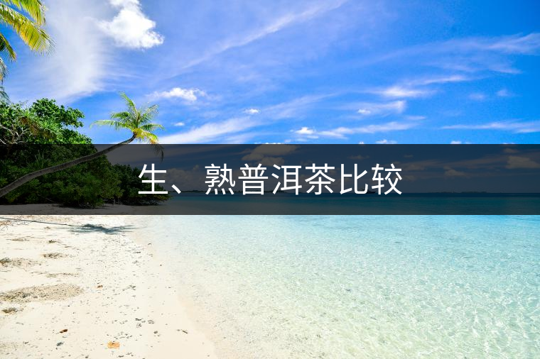 生、熟普洱茶比較