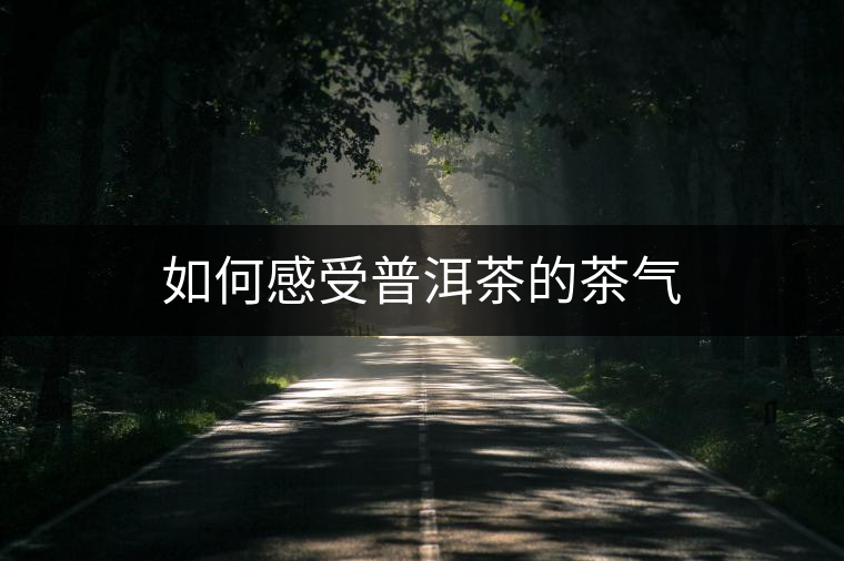如何感受普洱茶的茶氣