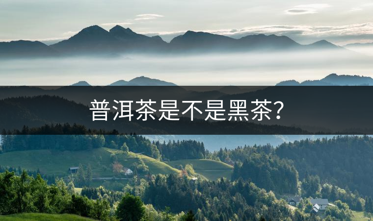 普洱茶是不是黑茶？