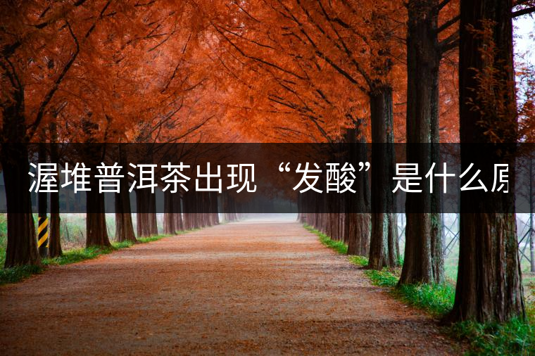 渥堆普洱茶出現(xiàn)“發(fā)酸”是什么原因？