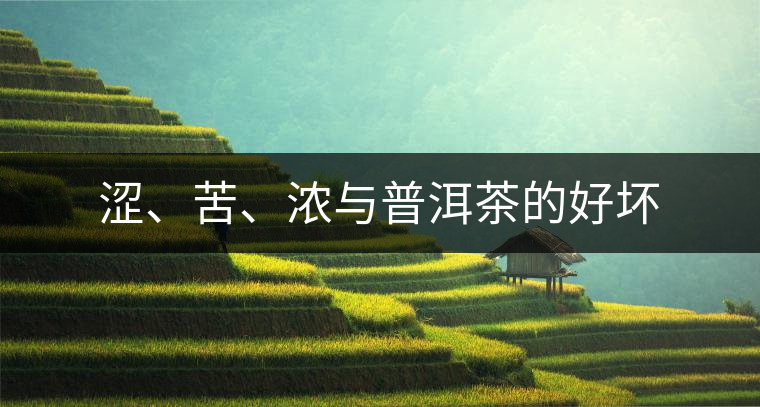 澀、苦、濃與普洱茶的好壞