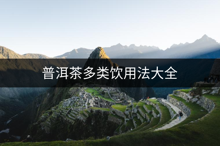 普洱茶多類(lèi)飲用法大全 普洱茶多類(lèi)飲用法大全