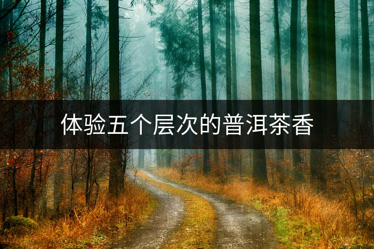 體驗(yàn)五個層次的普洱茶香 體驗(yàn)五個層次的普洱茶香