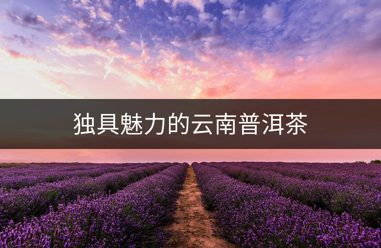 獨(dú)具魅力的云南普洱茶