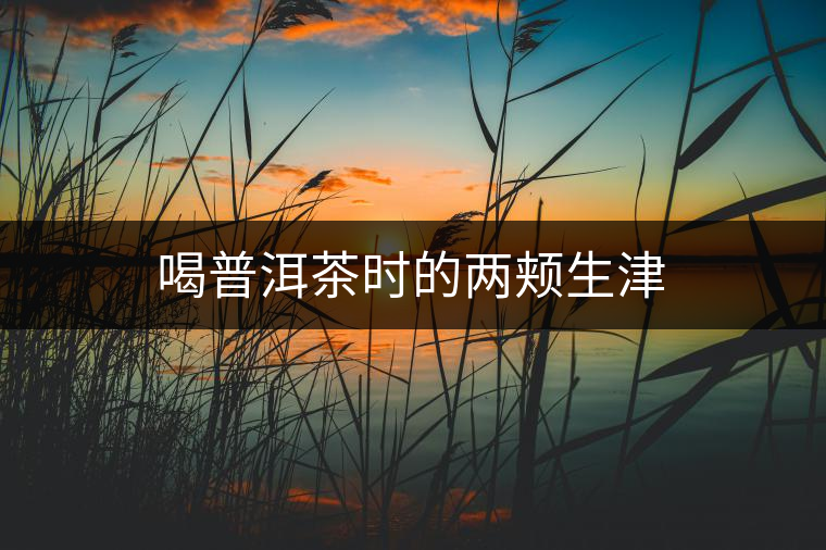 喝普洱茶時的兩頰生津 喝普洱茶時的兩頰生津