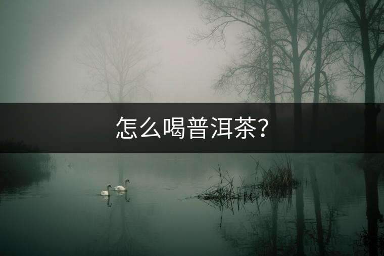 怎么喝普洱茶？