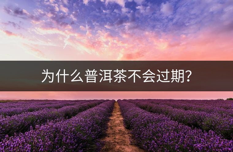 為什么普洱茶不會(huì)過(guò)期？