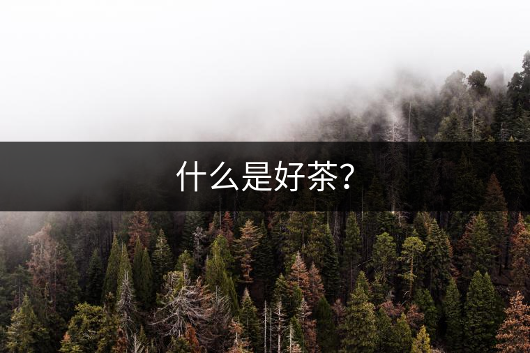 什么是好茶？