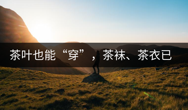 茶葉也能“穿”，茶襪、茶衣已進入研發(fā)階段