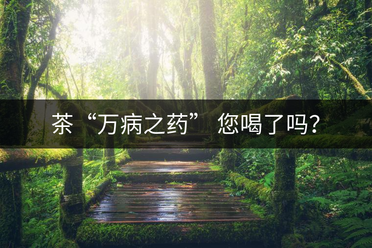 茶“萬(wàn)病之藥” 您喝了嗎？