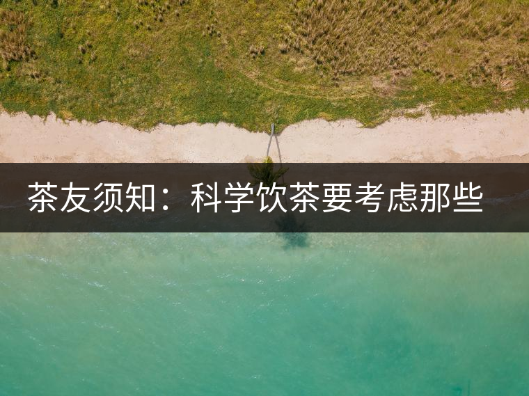 茶友須知：科學飲茶要考慮那些因素？