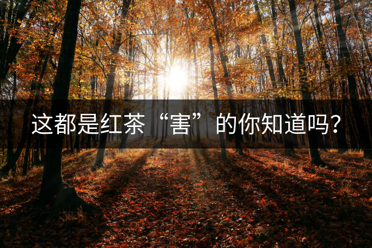 這都是紅茶“害”的你知道嗎？