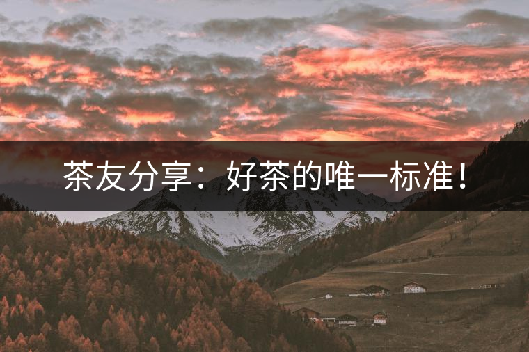 茶友分享：好茶的唯一標(biāo)準(zhǔn)！