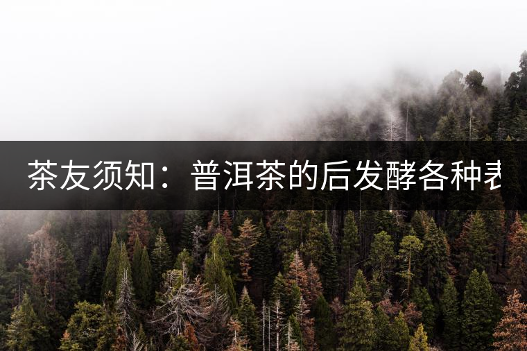 茶友須知：普洱茶的后發(fā)酵各種表現(xiàn) 喝普洱有益健康的奧妙所在！