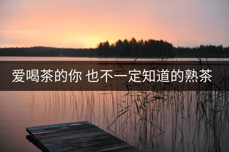 愛喝茶的你 也不一定知道的熟茶知識！