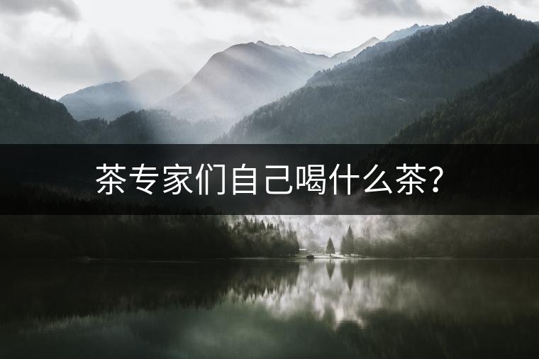 茶專家們自己喝什么茶？