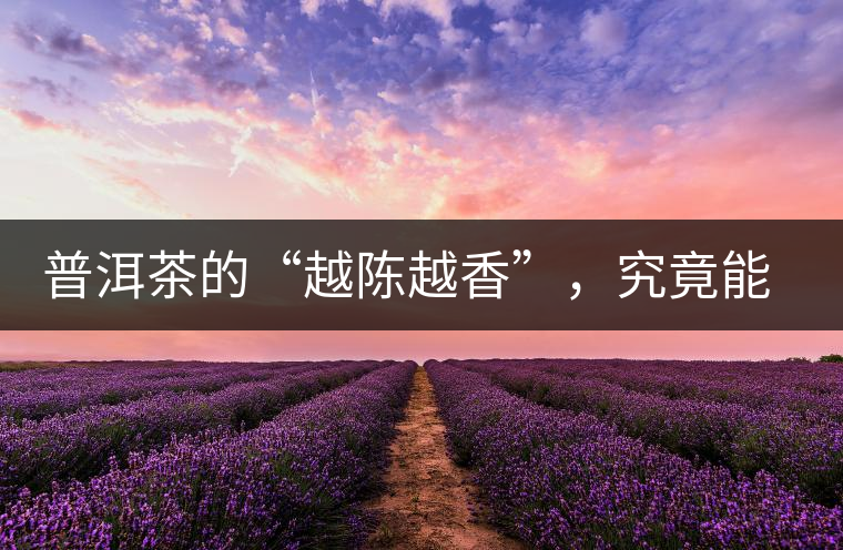 普洱茶的“越陳越香”，究竟能“陳”多久