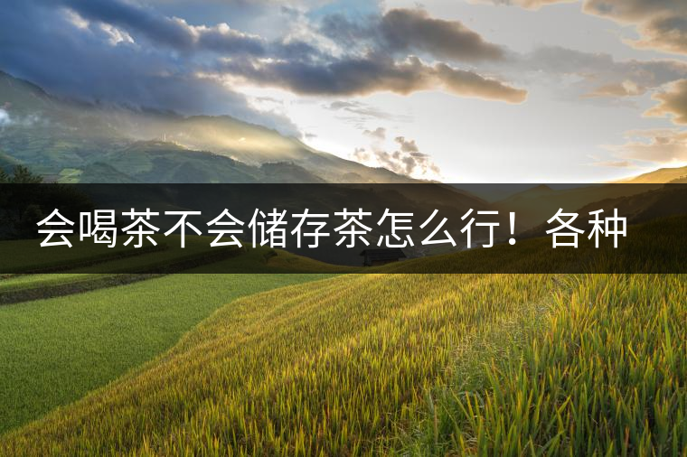 會喝茶不會儲存茶怎么行！各種存茶方法與技巧，把茶香留住