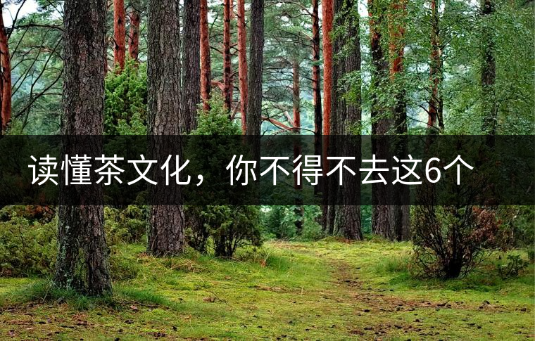 讀懂茶文化，你不得不去這6個(gè)城市