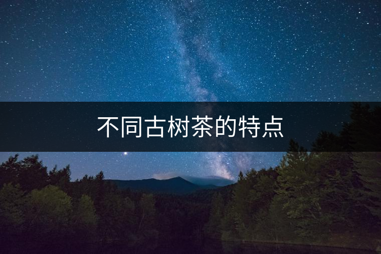 不同古樹(shù)茶的特點(diǎn)