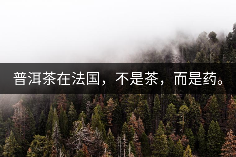 普洱茶在法國(guó)，不是茶，而是藥。