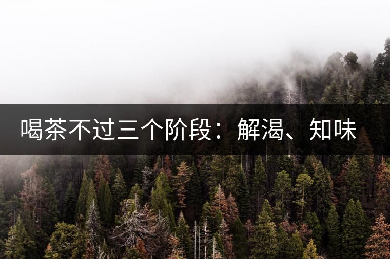 喝茶不過三個階段：解渴、知味、怡情