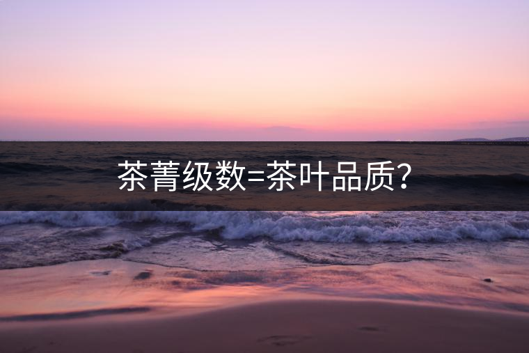 茶菁級(jí)數(shù)=茶葉品質(zhì)？