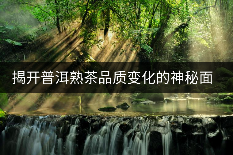 揭開普洱熟茶品質變化的神秘面紗 揭開普洱熟茶品質變化的神秘面紗