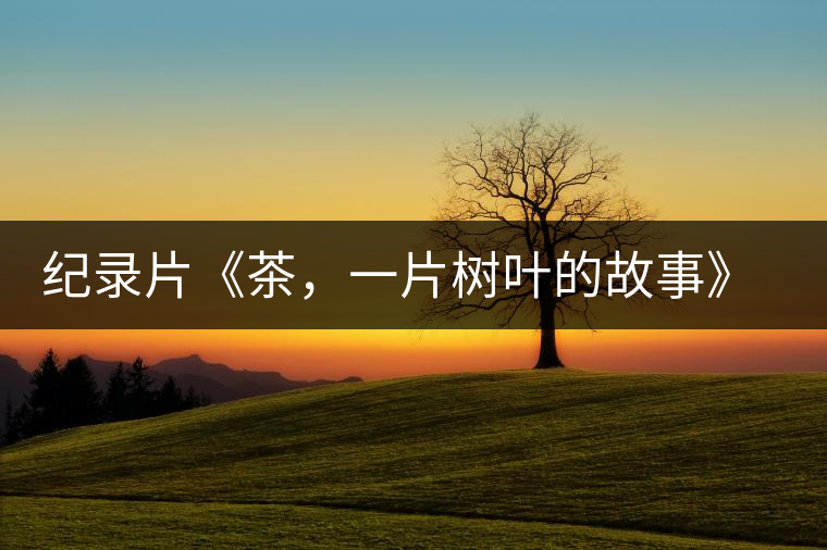 紀(jì)錄片《茶，一片樹(shù)葉的故事》 茶文化的詩(shī)意追尋