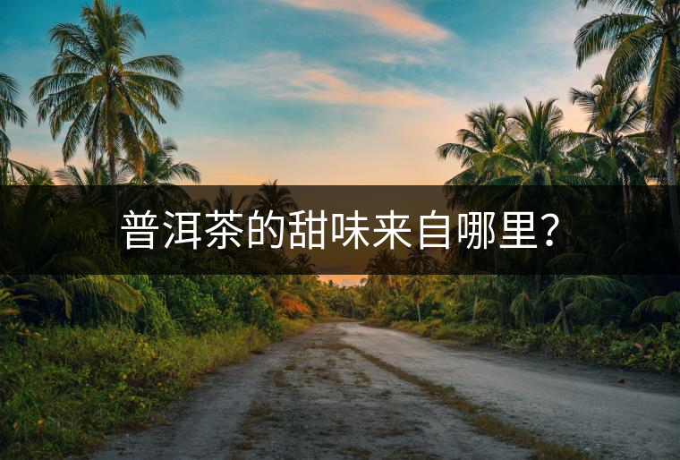 普洱茶的甜味來自哪里？