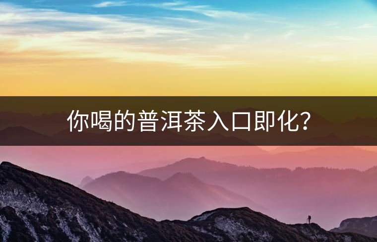 你喝的普洱茶入口即化？