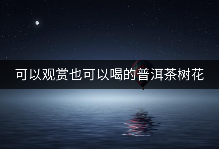 可以觀賞也可以喝的普洱茶樹(shù)花