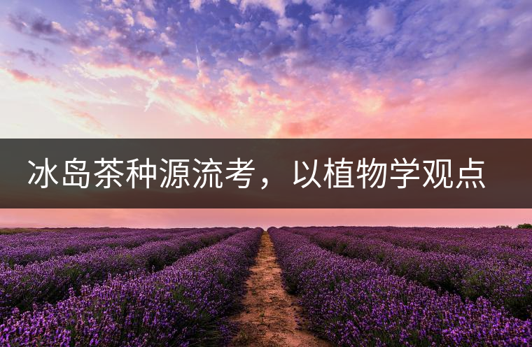 冰島茶種源流考，以植物學(xué)觀點(diǎn)解讀冰島茶