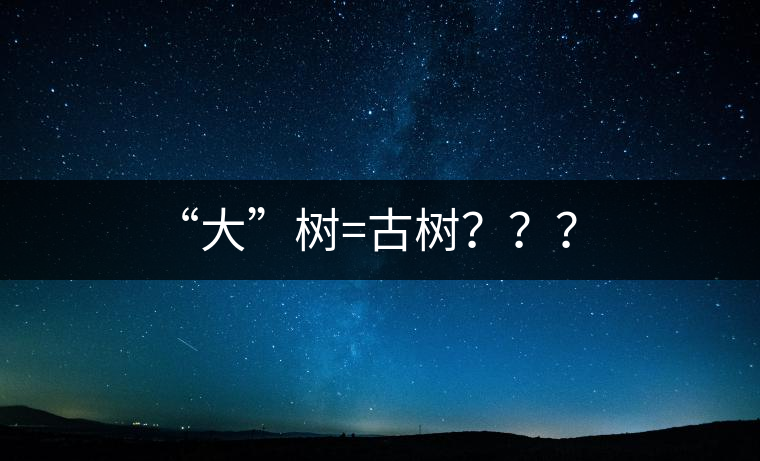 “大”樹=古樹？？？