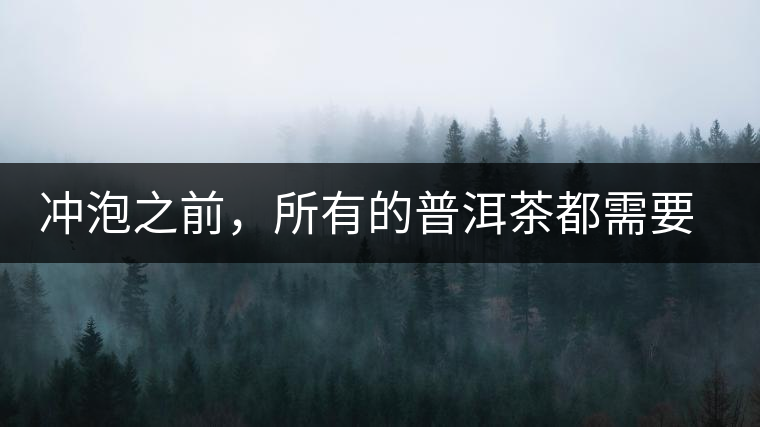 沖泡之前，所有的普洱茶都需要醒茶嗎？