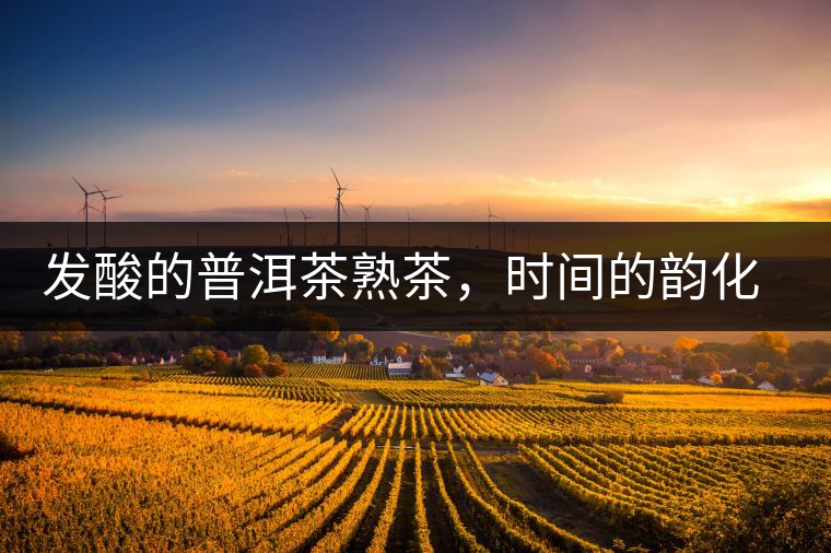 發(fā)酸的普洱茶熟茶，時間的韻化會讓它驚艷無比！