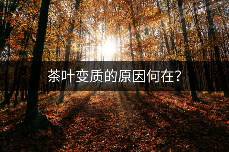 茶葉變質(zhì)的原因何在？