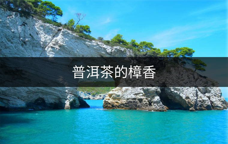 普洱茶的樟香 普洱茶的樟香