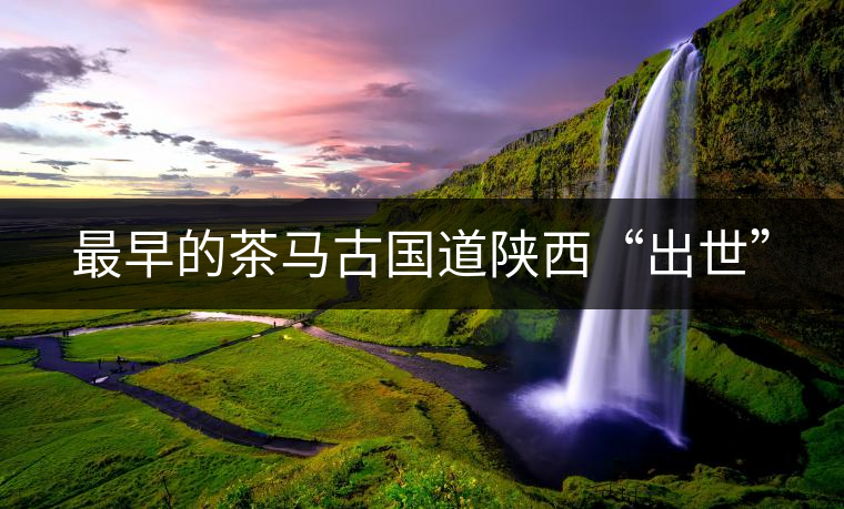 最早的茶馬古國道陜西“出世”