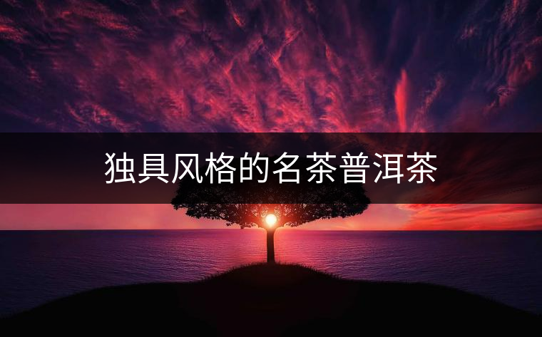 獨具風格的名茶普洱茶