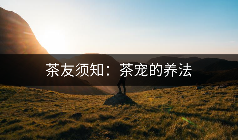 茶友須知:茶寵的養(yǎng)法 茶友須知:茶寵的養(yǎng)法