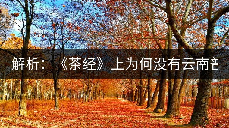 解析：《茶經(jīng)》上為何沒有云南普洱茶 ？