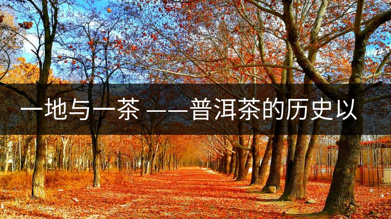 一地與一茶 ——普洱茶的歷史以及現(xiàn)場 一地與一茶 ——普洱茶的歷史以及現(xiàn)場