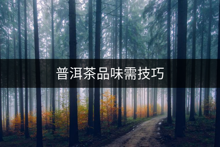 普洱茶品味需技巧