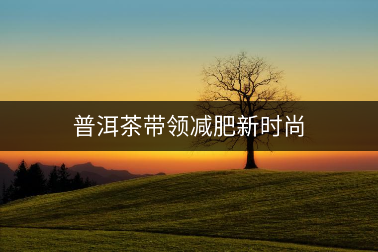 普洱茶帶領減肥新時尚 普洱茶帶領減肥新時尚