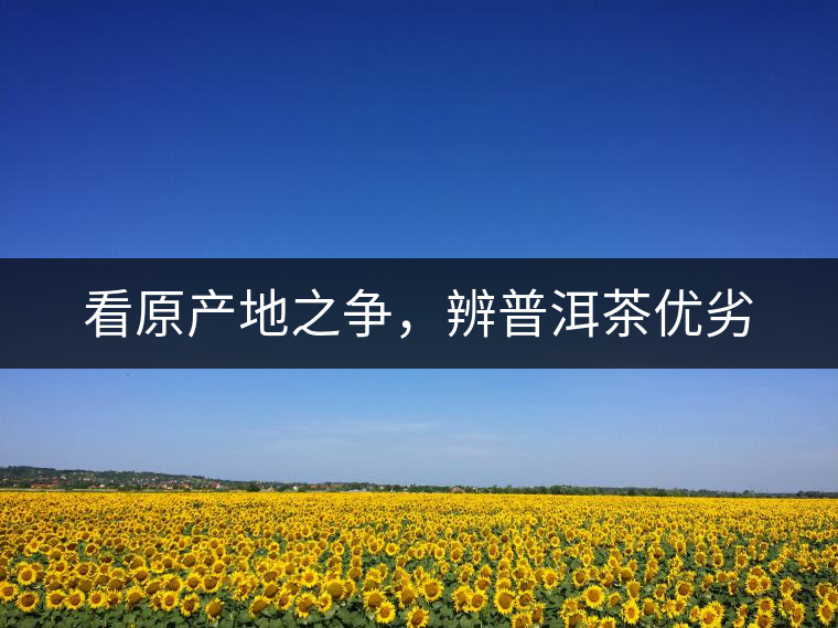 看原產(chǎn)地之爭(zhēng)，辨普洱茶優(yōu)劣