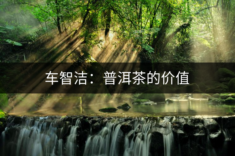 車智潔:普洱茶的價值 車智潔:普洱茶的價值