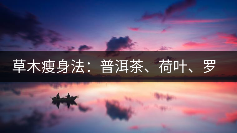 草木瘦身法：普洱茶、荷葉、羅漢果